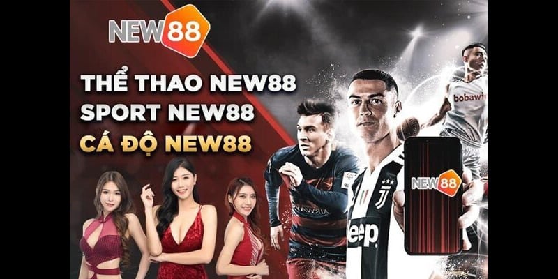 Một số nét nổi bật về thể thao New88